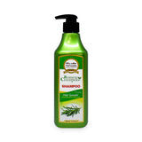 SHAMPOO ROMERO CRECEPELO 520ML|ENVIO GRATIS