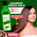 SHAMPOO ROMERO CRECEPELO 520ML|ENVIO GRATIS